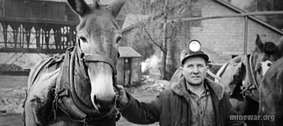 Miner and a Mule